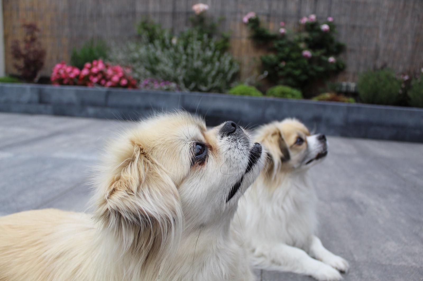 2bb0a4b1-b938-49c0-ad5a-1e31aa155578