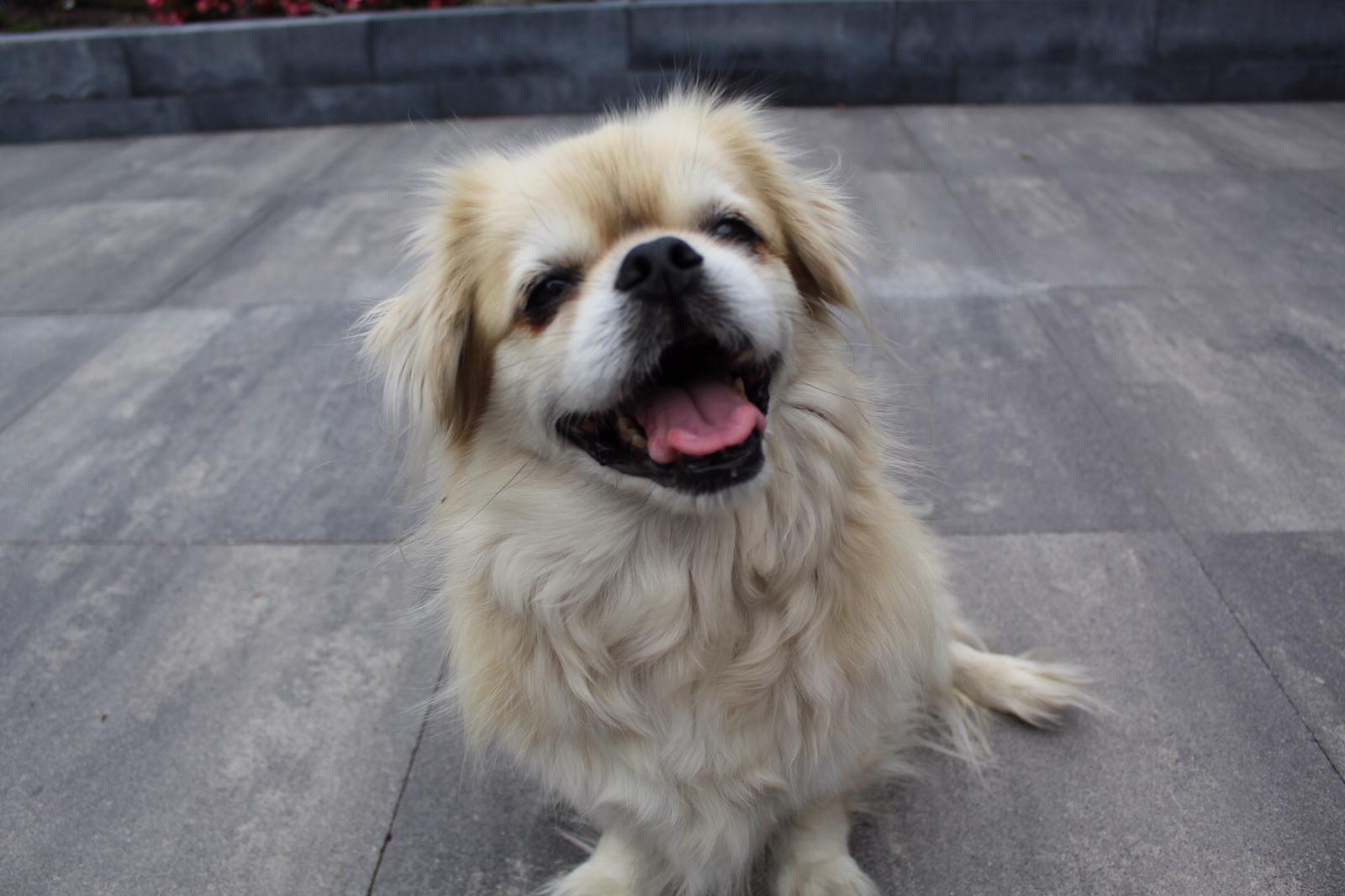 c63b01b4-e968-46fd-bea8-6a6c273bdc16